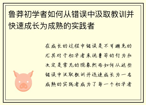 鲁莽初学者如何从错误中汲取教训并快速成长为成熟的实践者